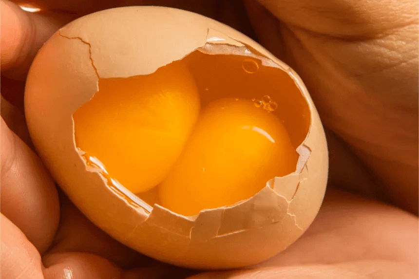 Double Yolk Eggs